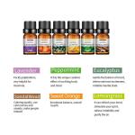 Hot Sale Pure Flowers Essential Oil 6 Piece Set In Gift Box Safe For Diffuser Aromatherapy Air freshening