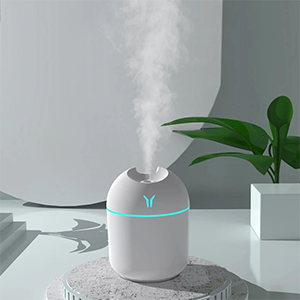 Humidifier/Diffuser